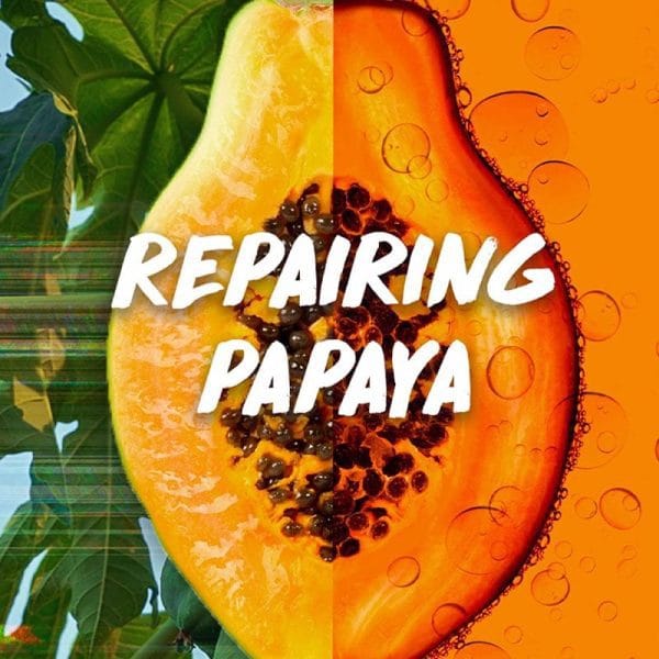 Garnier Hair Food, Papaya 3-in-1 Hair Mask Treatment, 400ml - Image 2