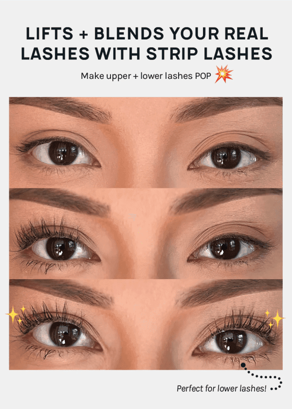 AOA A+ TALLASH MASCARA- Black - Image 5