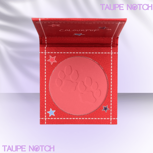 ColourPop Pressed Powder Blush-ColourPop Playoffs Pressed Powder Blush