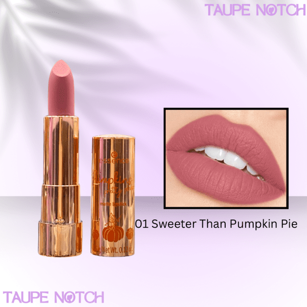 Essence Pumpkins Pretty Please! Matte Lipstick - No. 01 Sweeter Than Pumpkin Pie